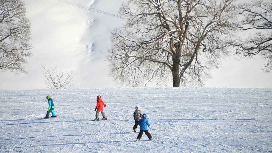 manali family tour packages