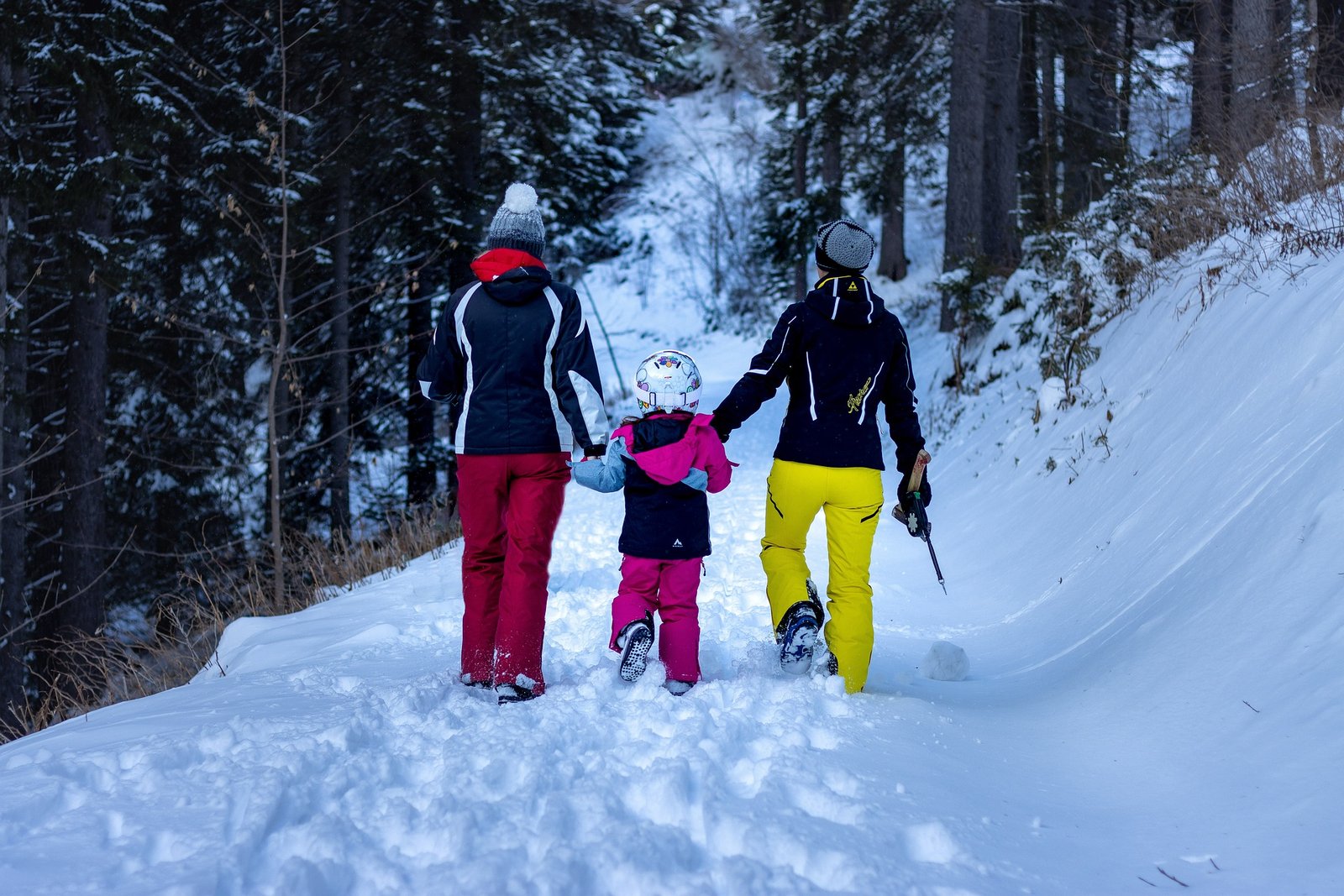 manali family tour packages